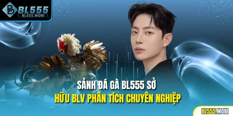 Sảnh đá gà BL555 sở hữu BLV phân tích chuyên nghiệp